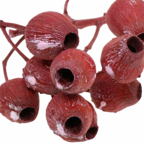 Artikel Bellgum Zweig 5cm - 7cm Rot gefrostet 20 St