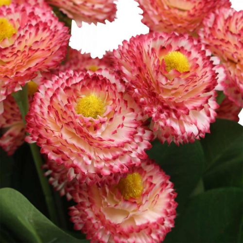 Artikel Kunstblume, künstliche Bellis im Bund, Gänseblümchen Weiß-Pink L32cm 10 St