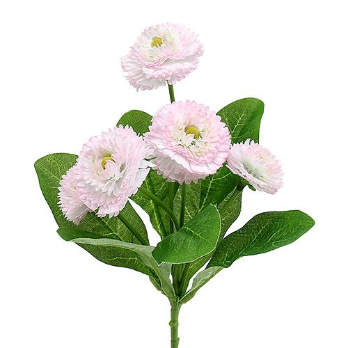 Bellispick Rosa  L 24cm