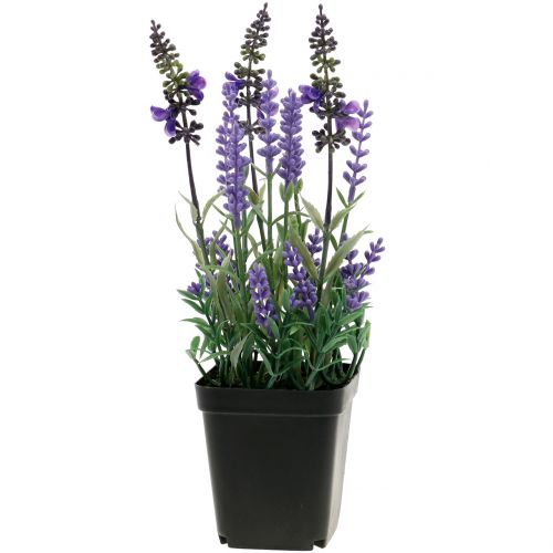 Lavendel Floristik21.de im Topf H25cm-89336 künstlich