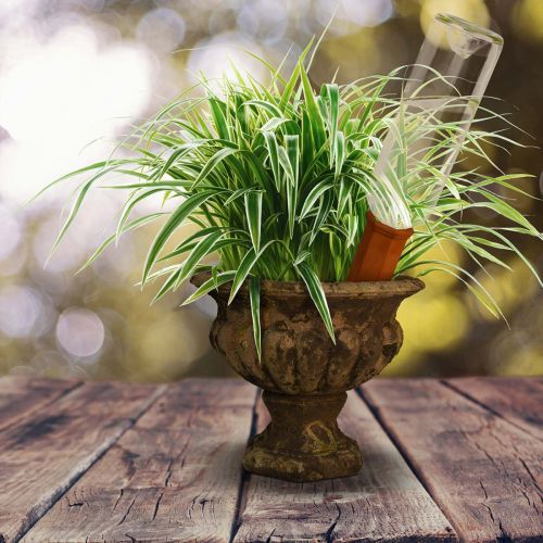 Terrakotta Bewässerungszapfen für Flaschen, 18 cm, für Topfpflanzen | Floristik21.de