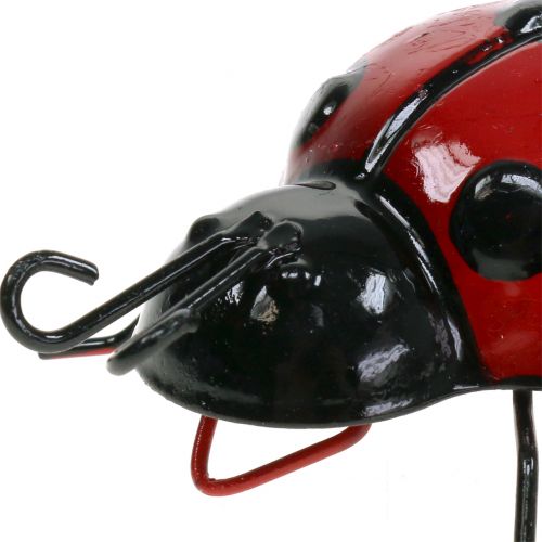 Floristik21 Marienkäfer 10cm