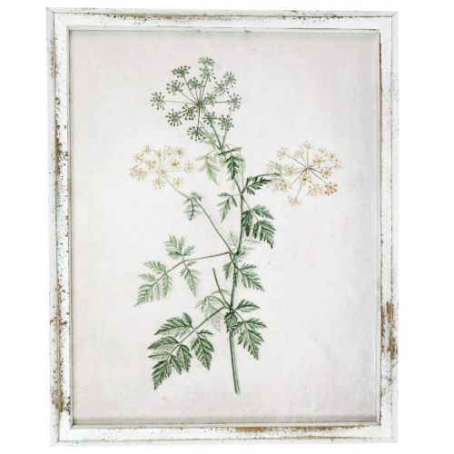 Vintage Wanddeko, Bild mit Rahmen Holz Getrocknete Pflanze 40×50cm