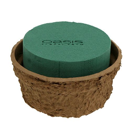 Floristik21 Nass Steckschaum mit Schale für Blumen H10cm Ø16cm 2 St