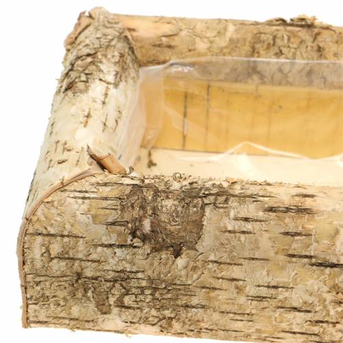 Pflanzgefäß Birke 40cm x 20cm H8,5cm