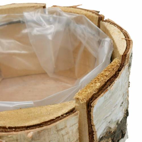 Floristik21 Pflanzkübel Birke Natur Birkentopf rund Holz Übertopf Ø13cm