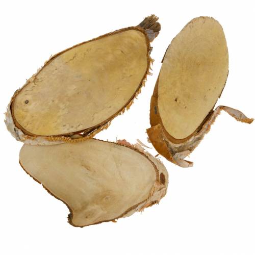 Floristik21 Holzscheiben Birke oval Natur 7,5×13cm 1kg