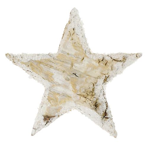 Artikel Birkensterne Natur beschneit 6,5cm 30 St