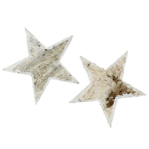Birkensterne Natur beschneit 9cm 15St Birkensterne Natur beschneit 9cm 15St