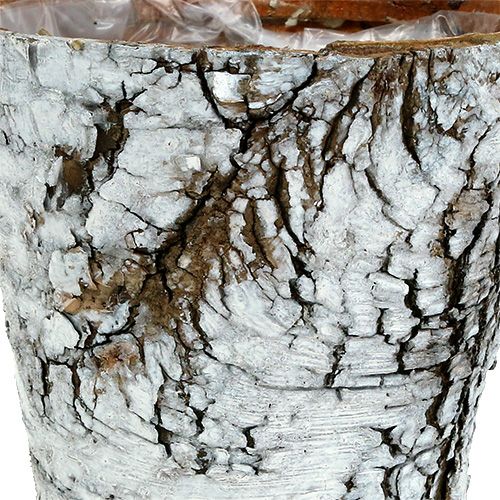Artikel Birkentopf mittel Pflanztopf Birke Weiß Ø12cm H10,5cm 4 St