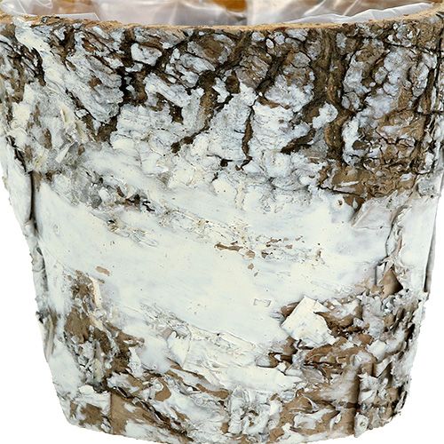 Artikel Birkentopf mini Weiß Pflanztopf Übertopf Ø7cm H7cm 10St