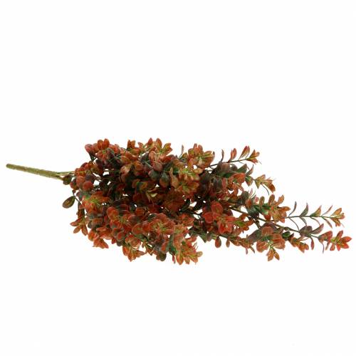 Floristik21 Buchsbaum Dekozweig herbstlich 50cm