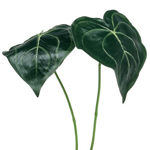 Blatt Caladium 32cm 2St