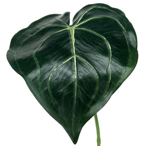 Floristik21 Blatt Caladium 32cm 2St