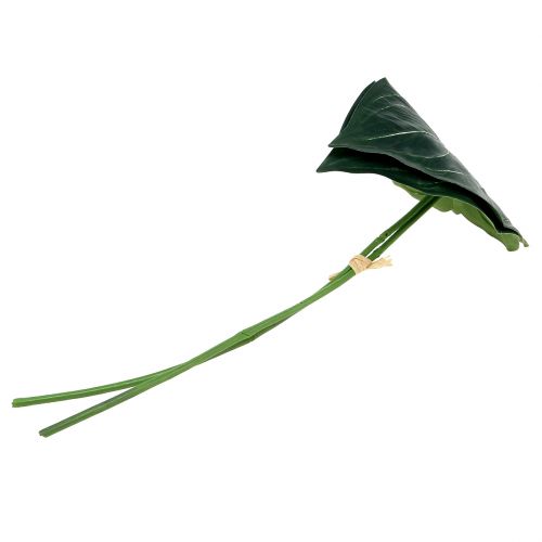 Blatt Caladium 32cm 2St