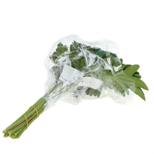Artikel Blatt Philodendron 31cm Grün 12 St