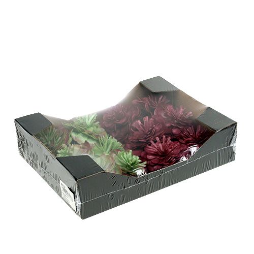 Floristik21 Blüte aus Foam 7cm Grün/Bordeaux 12St