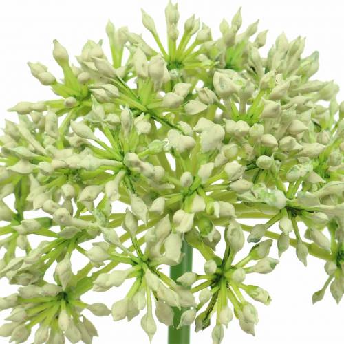 Artikel Allium künstlich Weiß 55cm