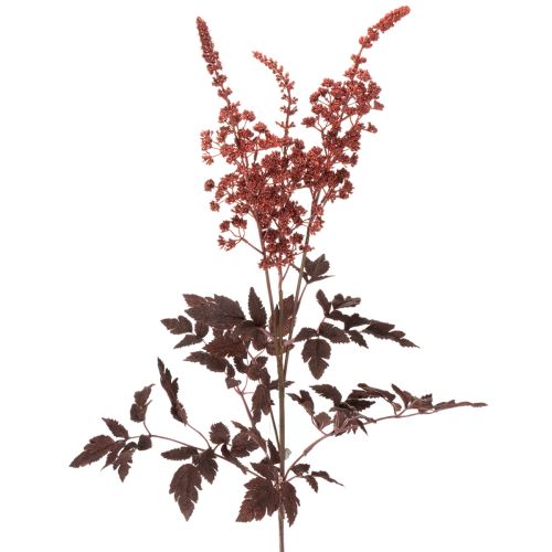 Kunstblume Astilbe langstielig 80cm Rotbraun Kunststoff einkaufen | Floristik21.de