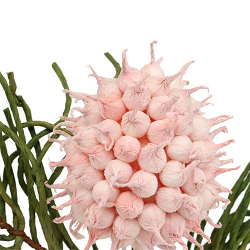 Artikel Blütenzweig Foam Pink/Grün 65cm