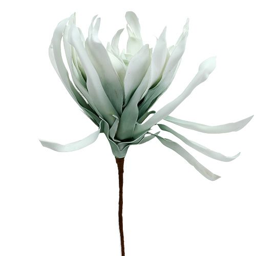 Floristik21 Blütenzweig Foam Weiß, Grün 72cm