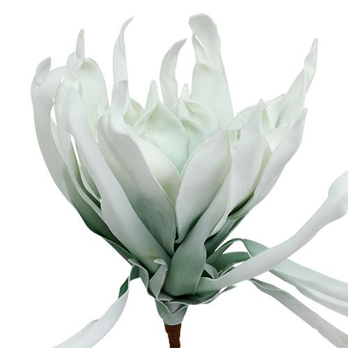 Floristik21 Blütenzweig Foam Weiß, Grün 72cm