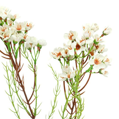 Floristik21 Blütenzweig Grün, Weiß 80cm 3St