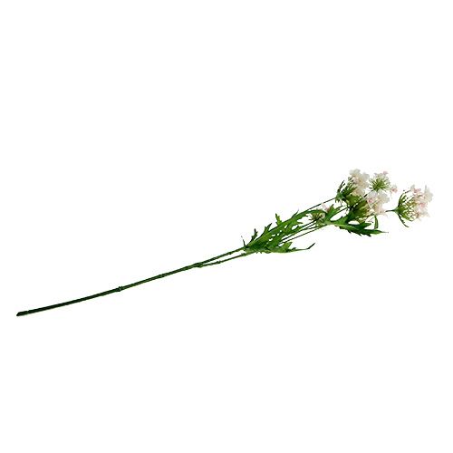 Floristik21 Blütenzweig Weiß L70cm