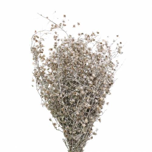 Floristik21 Trockenfloristik Wildblumenzweig Weiß gewaschen 60cm 100g