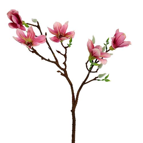 Floristik21 Magnolie mini Pink, Rosa L53cm 3St