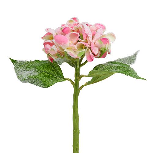 Floristik21 Hortensie Rosa beschneit 33cm 4 St