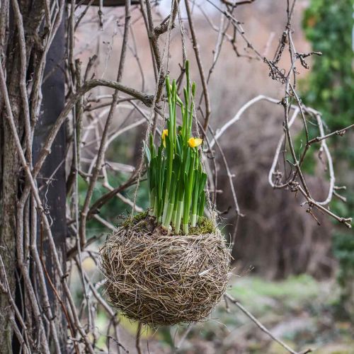 Artikel Blumenampel Heu Natur Pflanzkorb zum Hängen Hängetopf Ø20cm