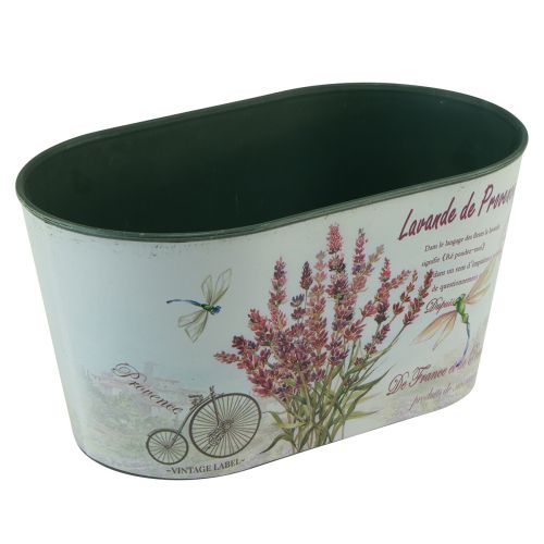 Floristik21 Blumenschale oval Lavendel Blumentopf Kunststoff 21,5×12,5cm H11cm
