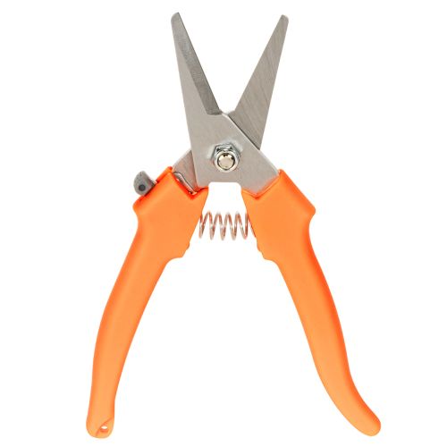 Blumenschere Edelstahlklingen 4 cm Klingenlänge Neon-Orange für Floristik und Gartenarbeit | Floristik21.de