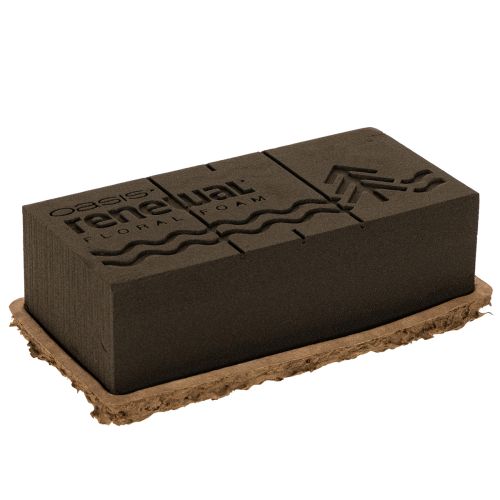 Artikel OASIS® Renewal® Biolit® Blumensteckschaum, 1/1 Ziegel, braun, 24 × 13 × 8 cm, 2 Stück