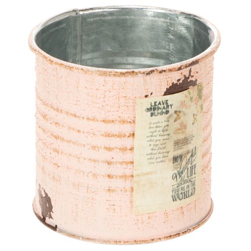 Blumentopf Deko Dose Lachs