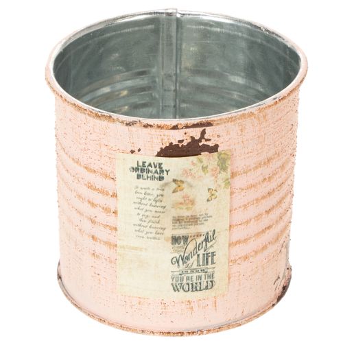 Artikel Blumentopf Deko Dose Lachs Metall Kräuterdose Ø8cm H7,5cm