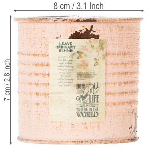 Blumentopf Deko Dose Lachs