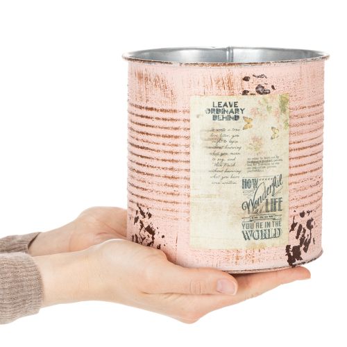 Blumentopf Deko Dose Lachs