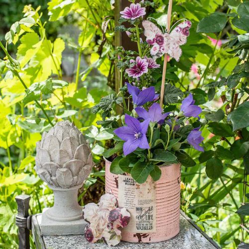 Artikel Blumentopf Deko Dose Lachs Metall Sommerdeko Ø11cm H10,5cm