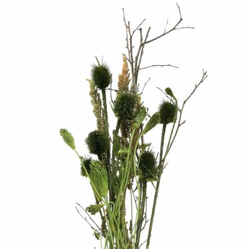 Floristik21 Wildblumen-Bouquet Natur, Grün 25–60cm 70g