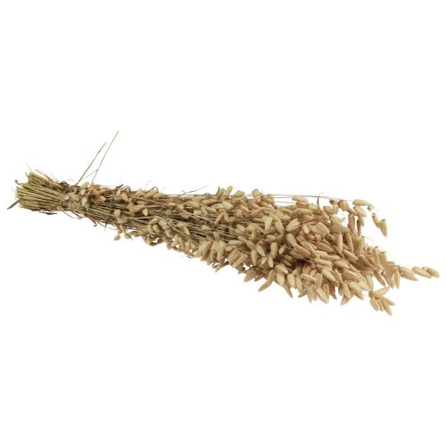 Floristik21 Trockenblume Zittergras Natur Briza Ziergras 60cm 100g