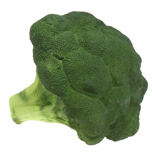 Brokkoli Ø16cm Brokkoli Ø16cm