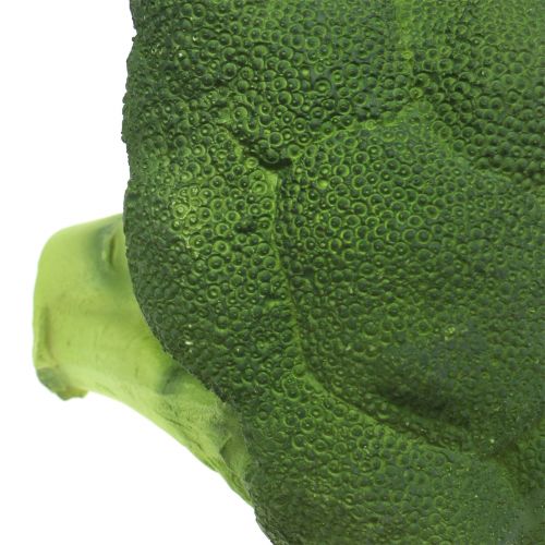 Brokkoli Ø16cm