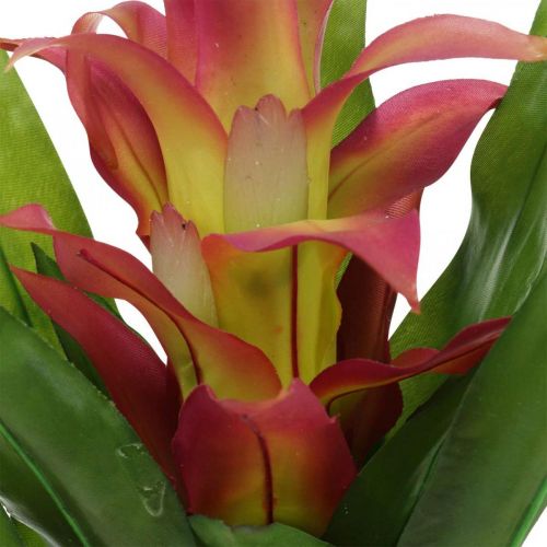 Floristik21 Bromelie künstlich Pink Kunstblume zum Stecken 54cm