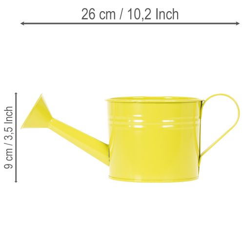 Bunte Gießkanne Deko Ø11cm H9,5cm zum Bepflanzen, Frühlingstischdeko Metall 8er-Set | Floristik21.de