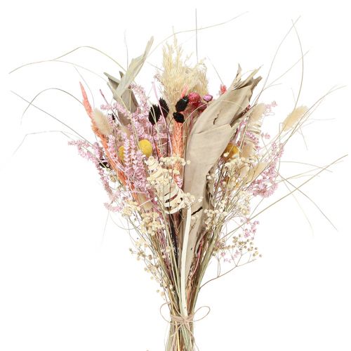 Floristik21 Bunter Trockenblumenstrauß Exotischer Charme 55cm 120g für stilvolle Deko