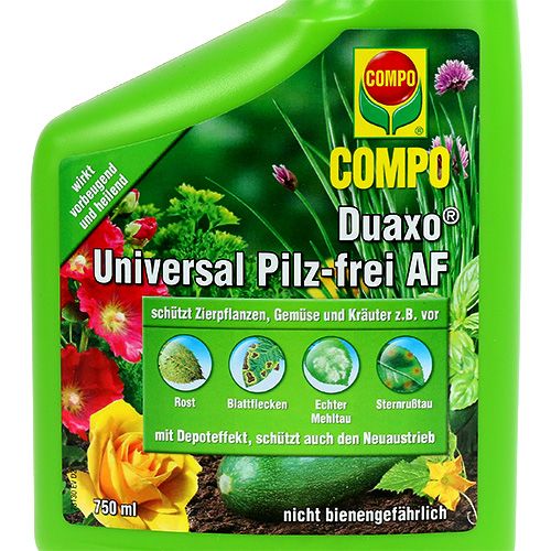 Floristik21 COMPO Duaxo Universal Pilz-frei AF 750ml