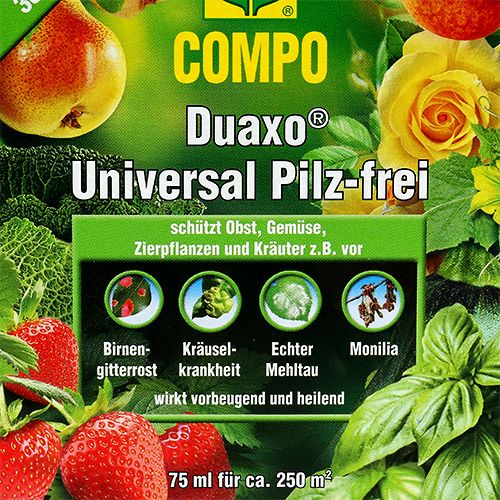 Floristik21 COMPO Duaxo ® Universal Pilz-frei 75ml