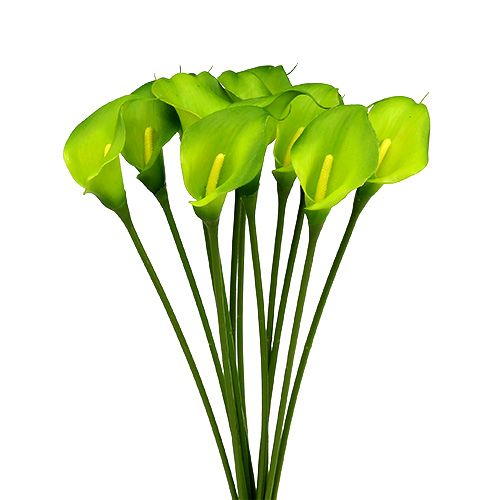 Floristik21 Calla künstlich Grün 8cm L57cm 12St
